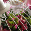 Λουλούδια σε κλουβί - για ένα πρωτότυπο centerpiece
